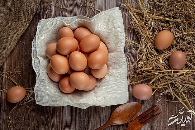 تخم مرغ غذایی با چربی مفید تخم مرغ